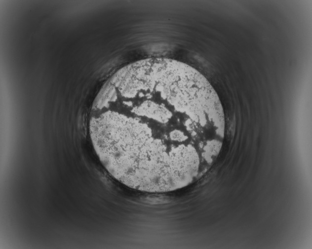 X0000084530666200703231654