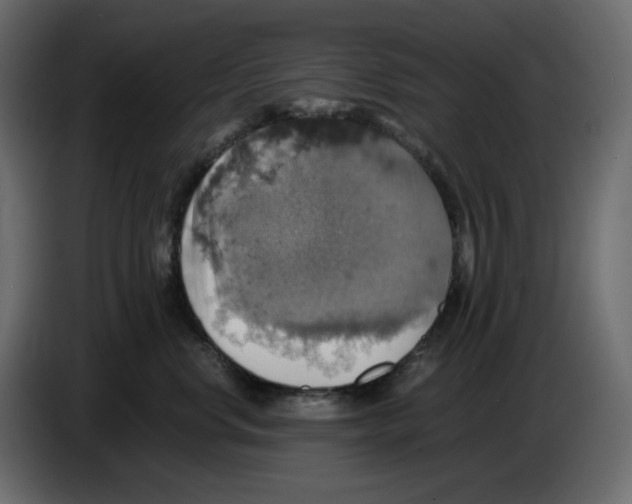 X0000084530668200703231654