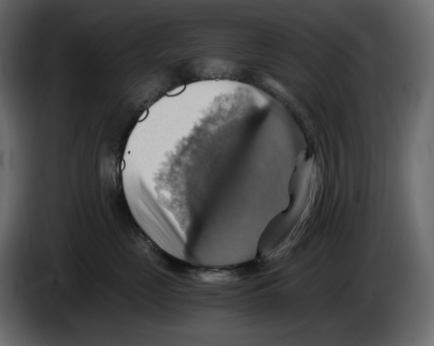 X0000084530669200703231654