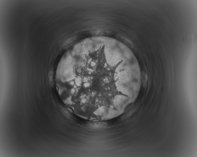 X0000084530670200703231654