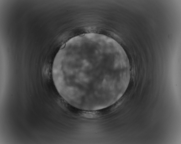 X0000084530671200703231654