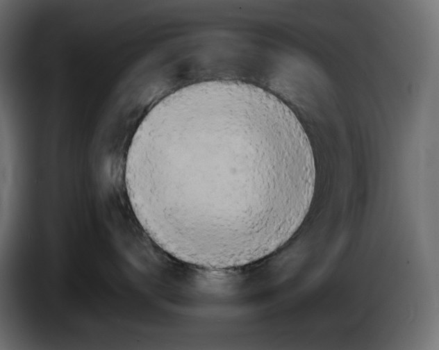 X0000084530672200703231654