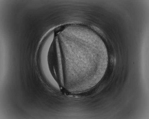 X0000084530676200703231653