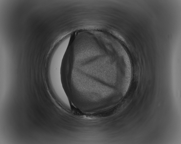 X0000084530677200703231653