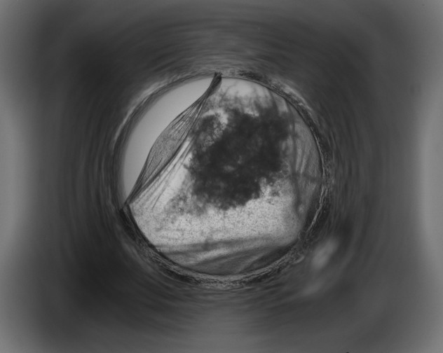 X0000084530679200703231653