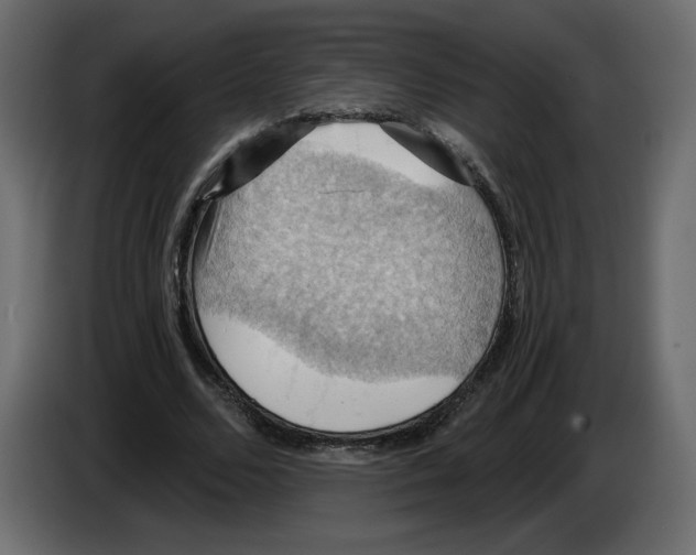 X0000084530680200703231653