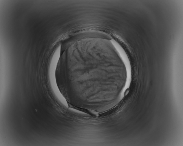 X0000084530681200703231653