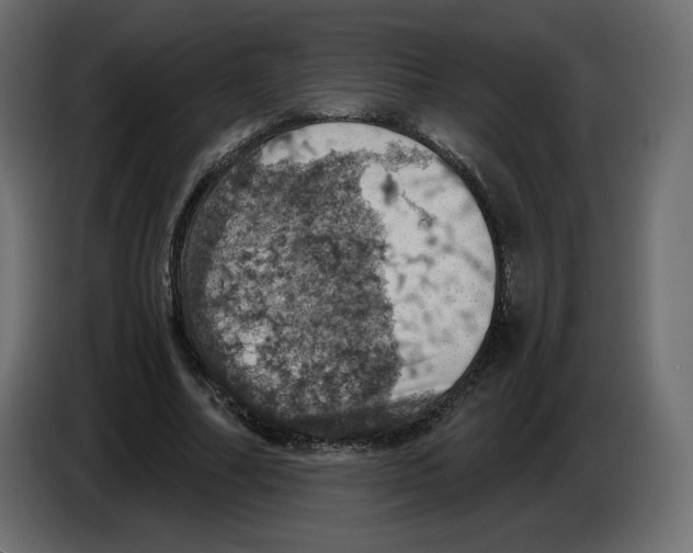 X0000084530682200703231653