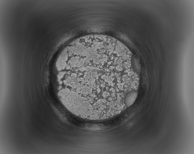 X0000084530683200703231653