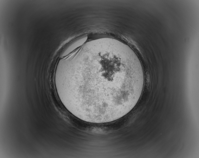 X0000084530684200703231653
