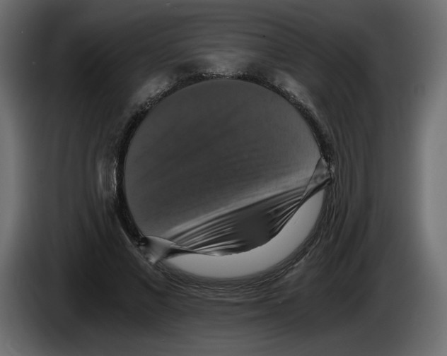 X0000084530685200703231653