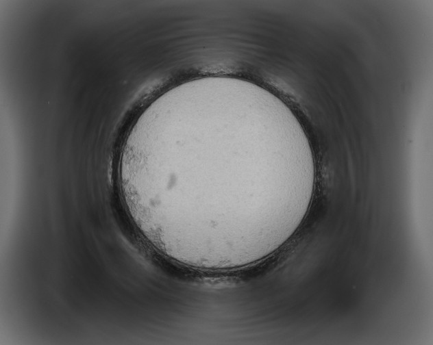 X0000084530686200703231653