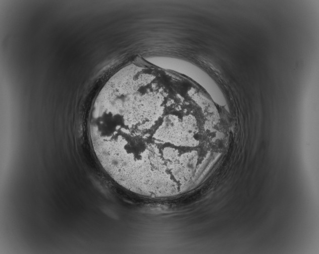 X0000084530687200703231653