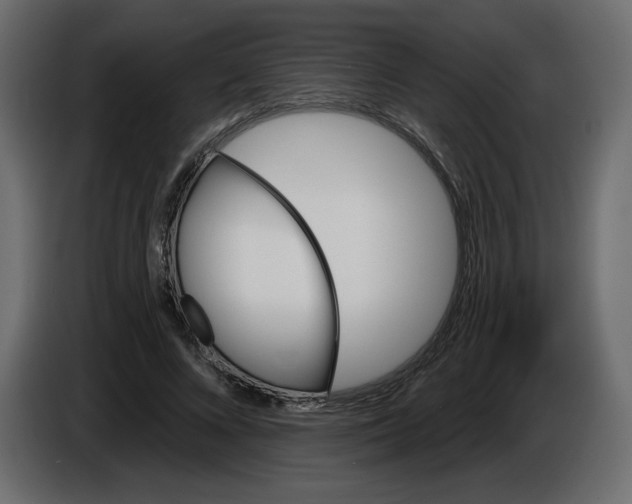 X0000084530688200703231653