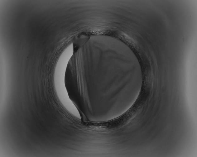 X0000084530689200703231653