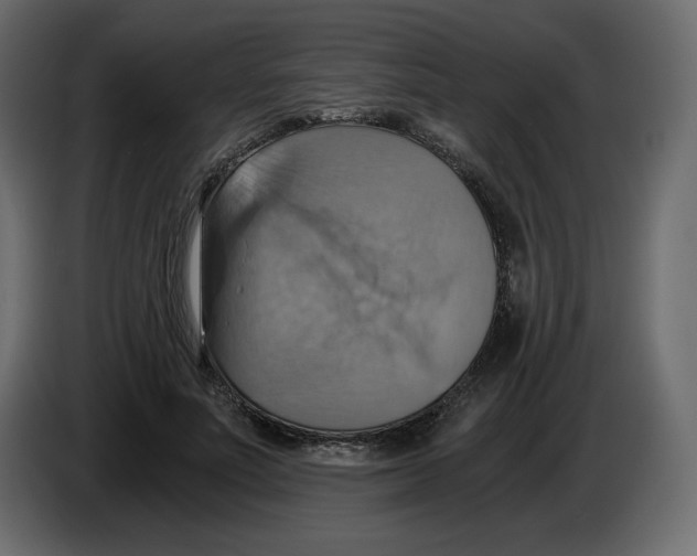 X0000084530691200703231653