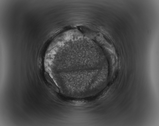 X0000084530693200703231653