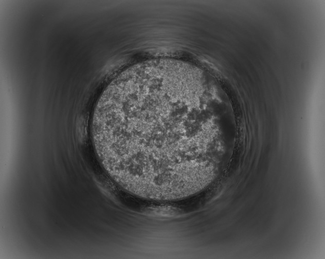 X0000084530695200703231653