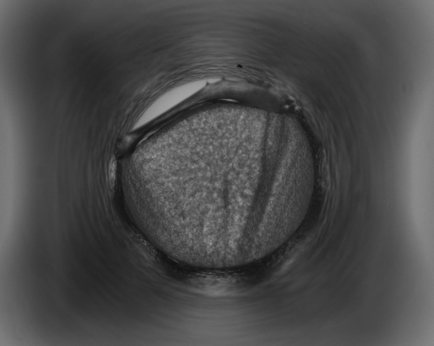 X0000084530697200703231653