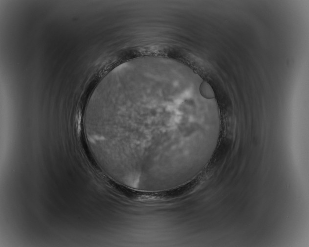 X0000084530699200703231653