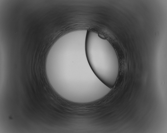 X0000084530700200703231653
