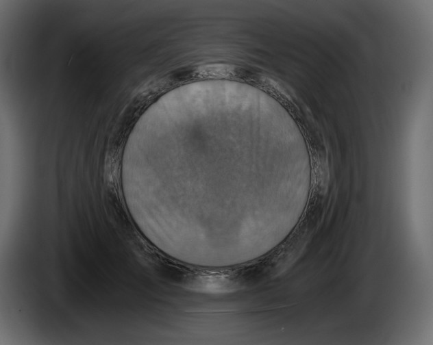 X0000084530701200703231653