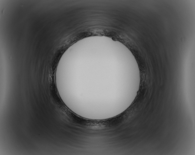 X0000084530702200703231653