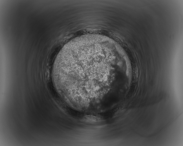 X0000084530703200703231652