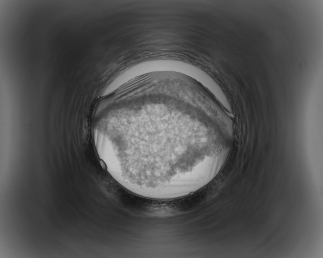 X0000084530704200703231652