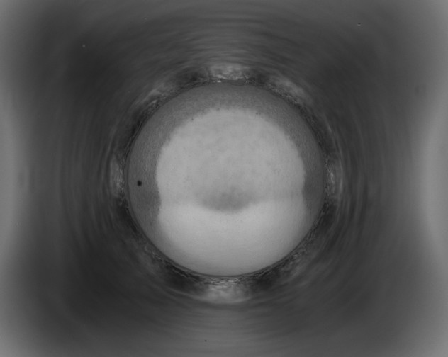 X0000084530705200703231652