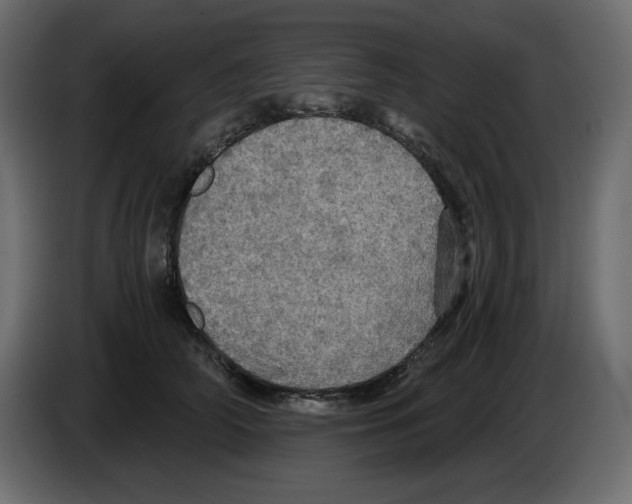 X0000084530706200703231652