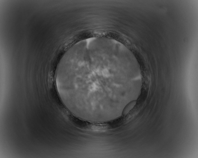 X0000084530707200703231652
