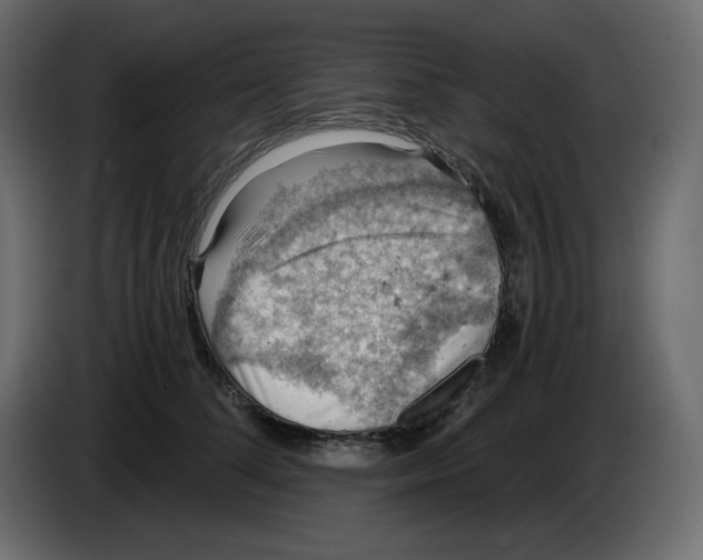 X0000084530708200703231652