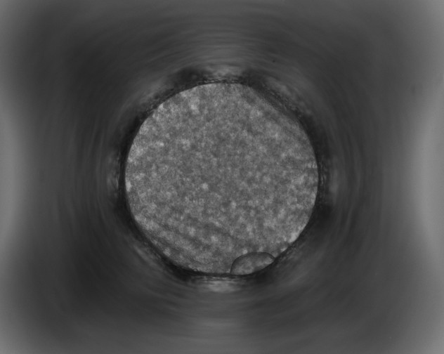 X0000084530710200703231652