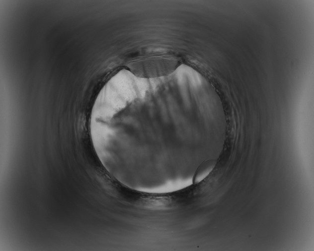 X0000084530711200703231652