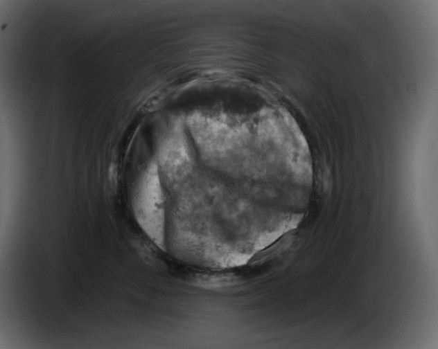 X0000084530716200703231652
