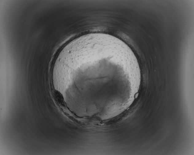 X0000084530721200703231652