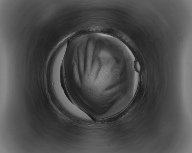 X0000084530722200703231652