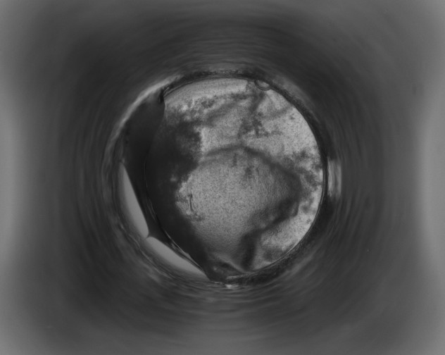 X0000084530723200703231652