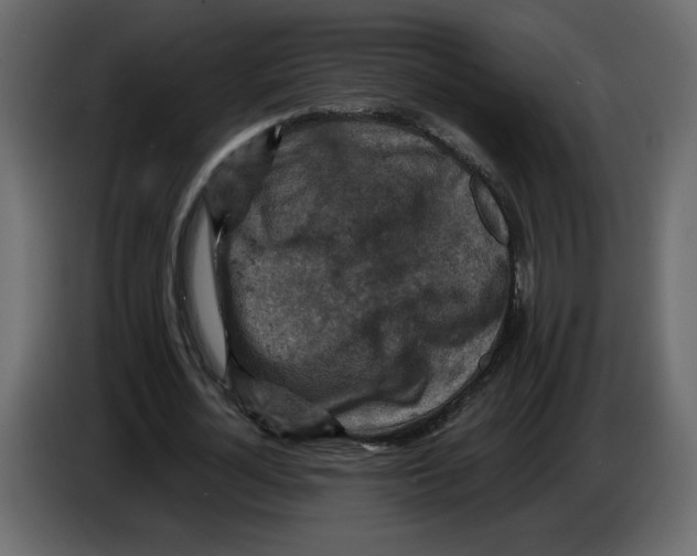 X0000084530724200703231652