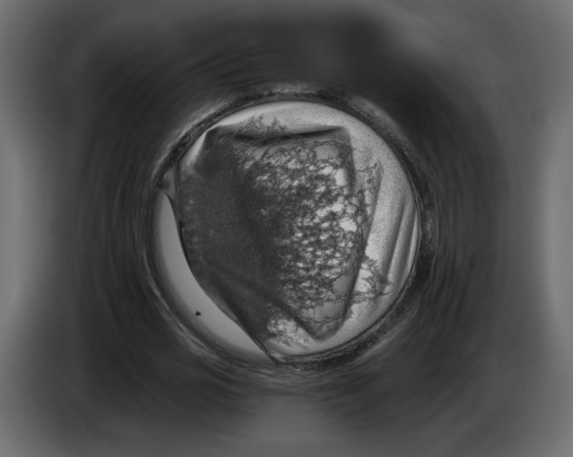 X0000084530725200703231652