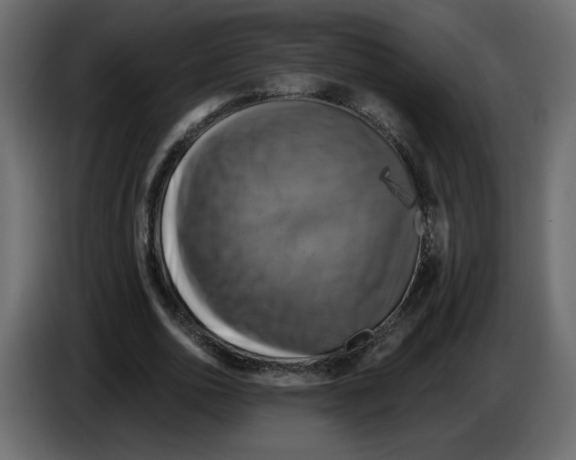 X0000084530726200703231652