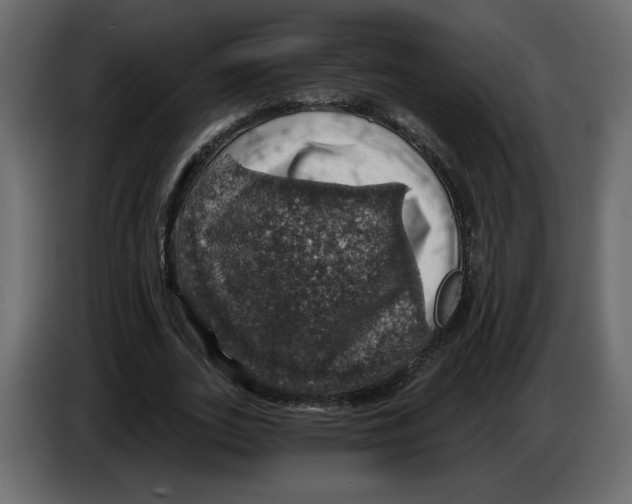 X0000084530727200703231652