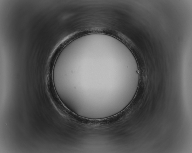 X0000084530728200703231652