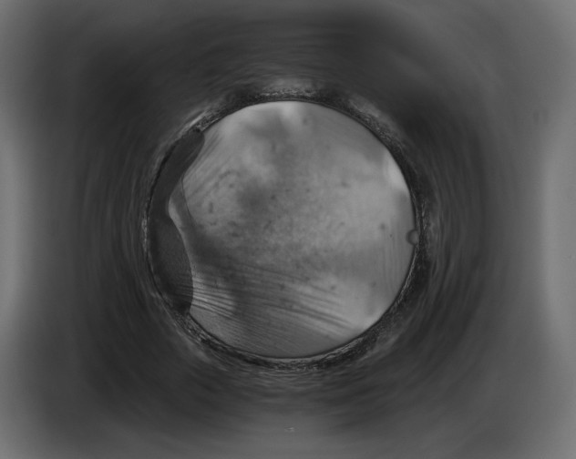 X0000084530729200703231652