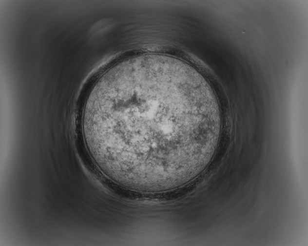 X0000084530730200703231652
