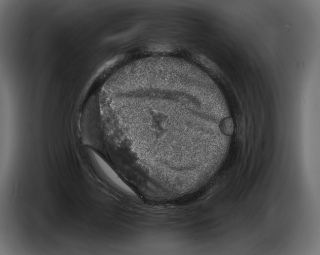 X0000084530731200703231652
