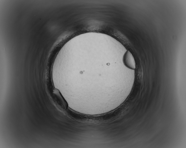 X0000084530732200703231652