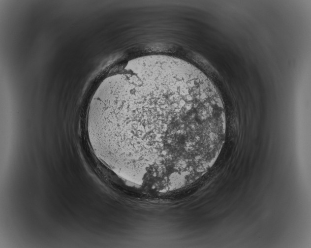 X0000084530734200703231652