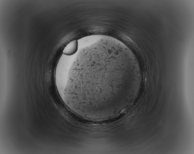 X0000084530735200703231652